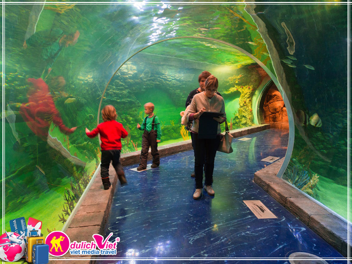 Vé tham quan Singapore giá tốt Combo 2 vé Universal + Sea Aquarium